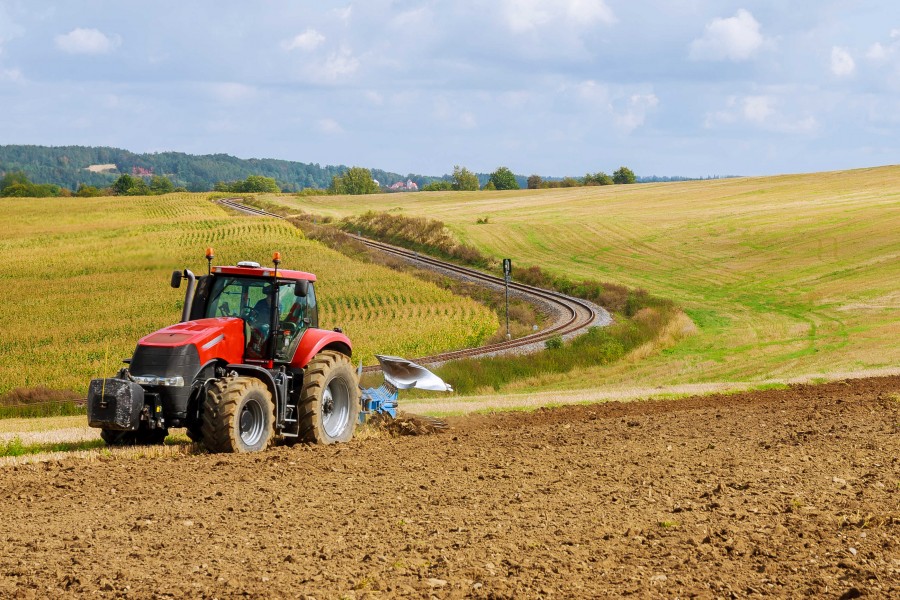 RICA - Le Aziende Agricole In Italia - Rapporto RICA 2020